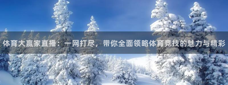 nba直播免费直播小九：体育大赢家直播：一网打尽，带你全面领略体育竞技的魅力与精彩