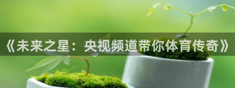 小九乐悠直播nba：《未来之星：央视频道带你体育传奇》