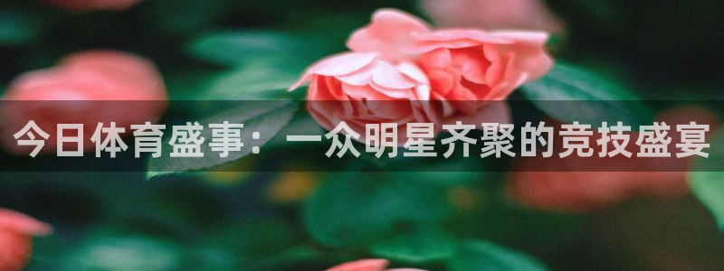 nba直播小九
