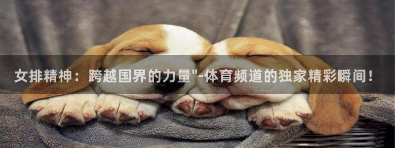 小九直播nba免费观看高清：女排精神：跨越国界的力量\